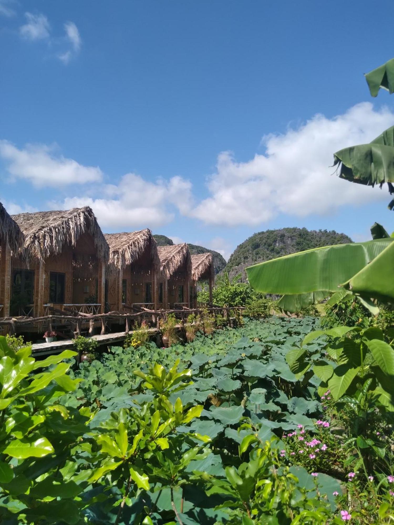 נין בין Hang Mua Lotus Homestay מראה חיצוני תמונה